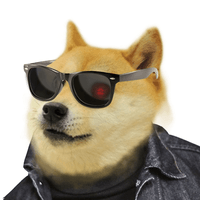 DOGEFI