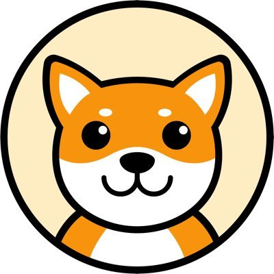 SafeDoge Token